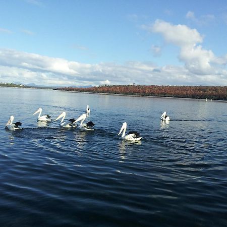 Pelican Point Sanctuary St Helens Exterior foto